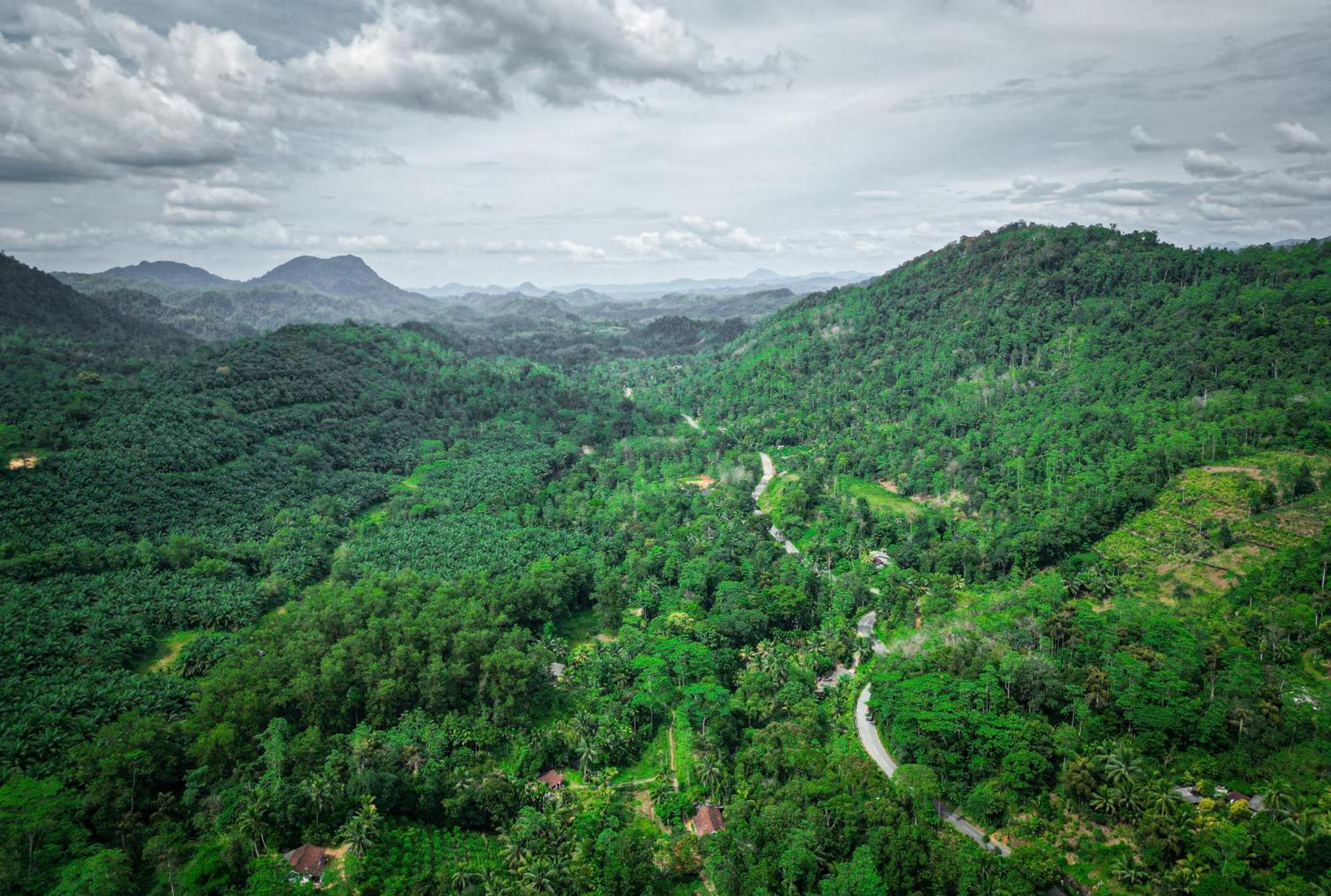 Singharaja Garden Agro Eco Lodge Pelawatta  Kültér fotó