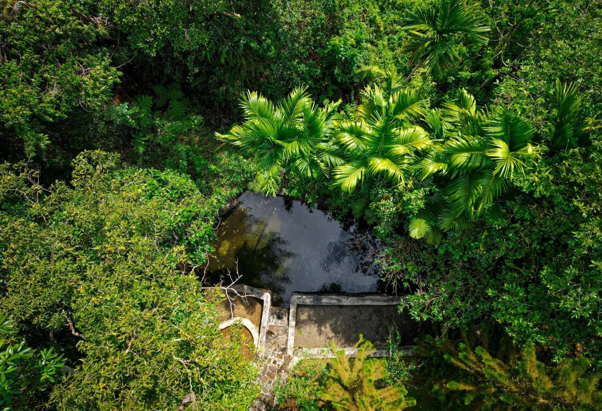 Singharaja Garden Agro Eco Lodge Pelawatta  Kültér fotó