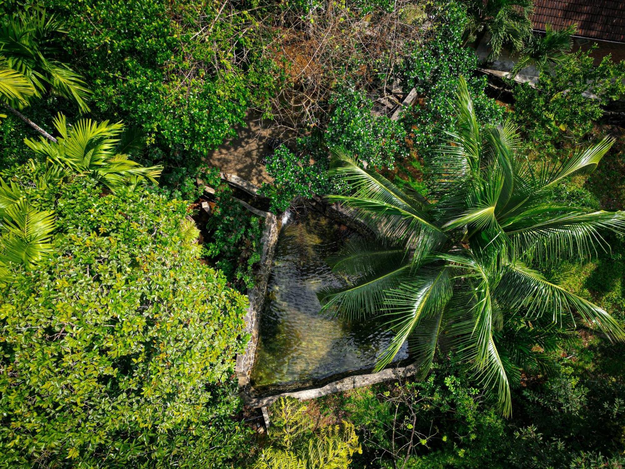 Singharaja Garden Agro Eco Lodge Pelawatta  Kültér fotó