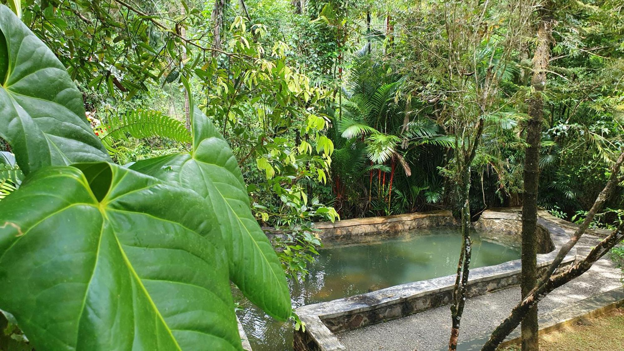 Singharaja Garden Agro Eco Lodge Pelawatta  Szoba fotó