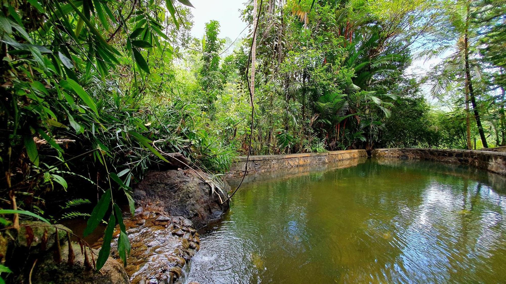 Singharaja Garden Agro Eco Lodge Pelawatta  Szoba fotó